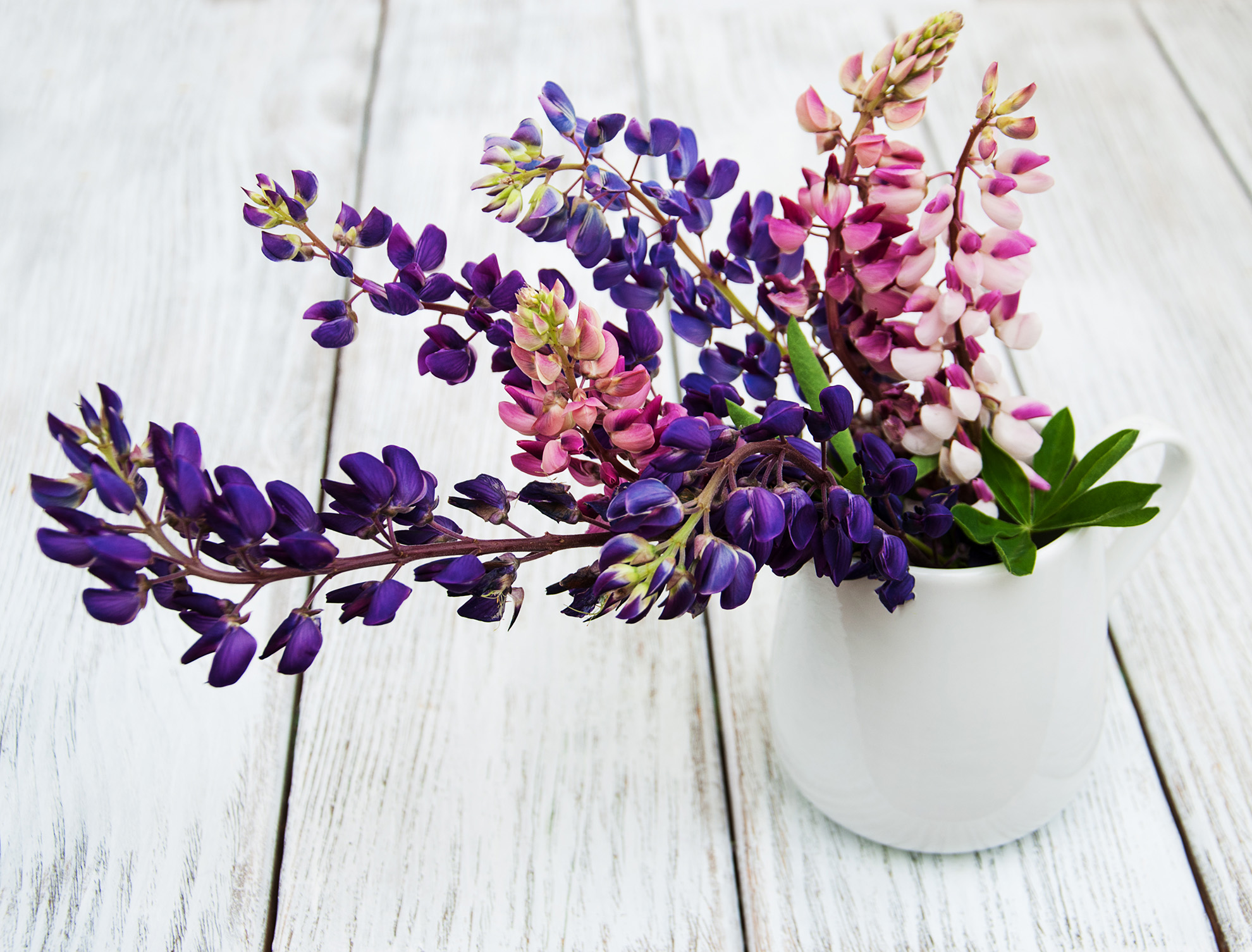 Cordula Anderson - New Paradigm Consulting, Coming soon